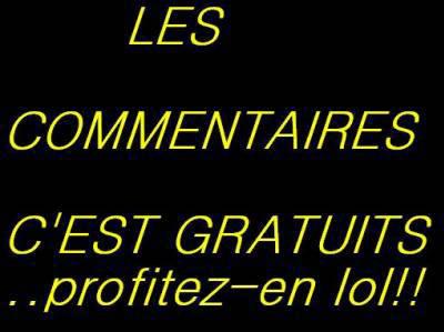 commentaire